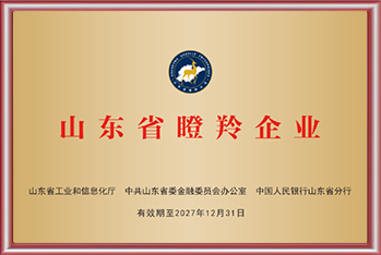 凯能-山东省瞪羚企业